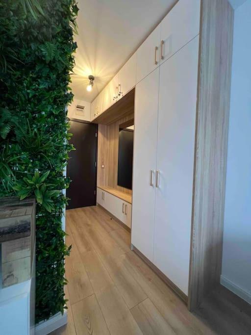 Cosy Appartement Green Life Bansko Dış mekan fotoğraf