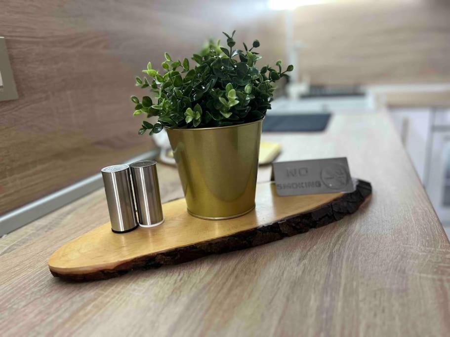 Cosy Appartement Green Life Bansko Dış mekan fotoğraf