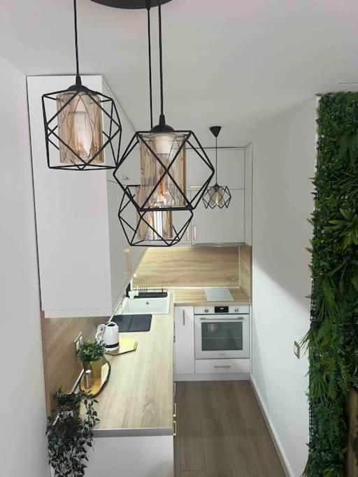 Cosy Appartement Green Life Bansko Dış mekan fotoğraf